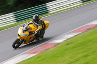 Lower Group Yellow Bikes